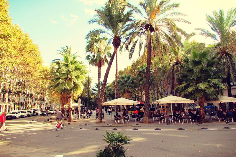 Raval Neighbourhood Guide Barcelona - Ben Holbrook_opt