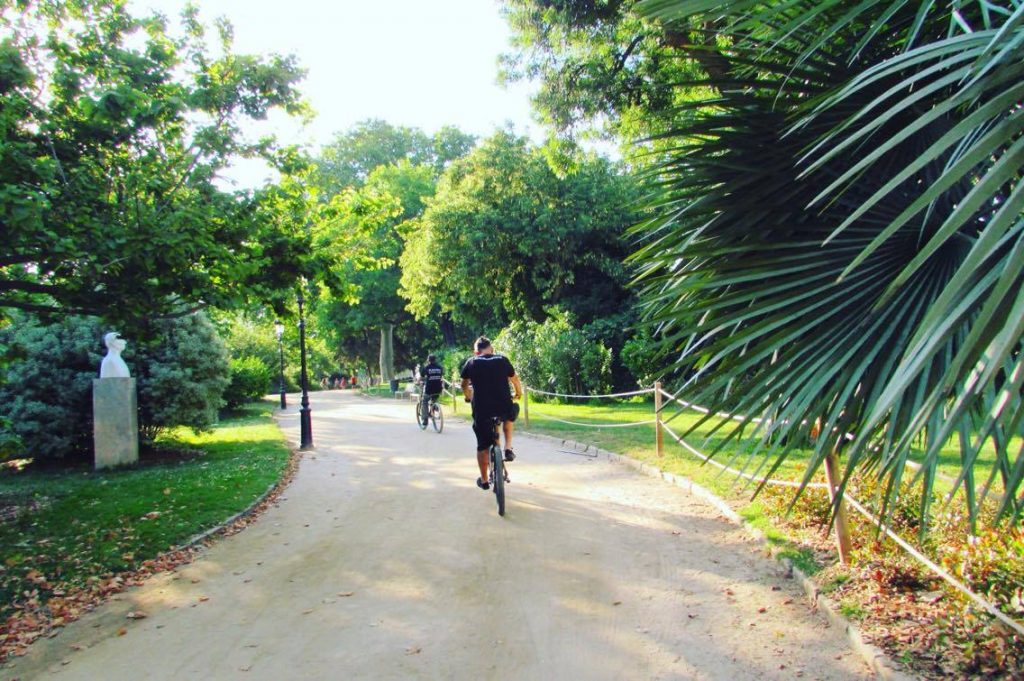 Palms and pines in Barcelona's prettiest park