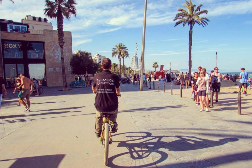 Bamboo cruising Barcelona's beach front.