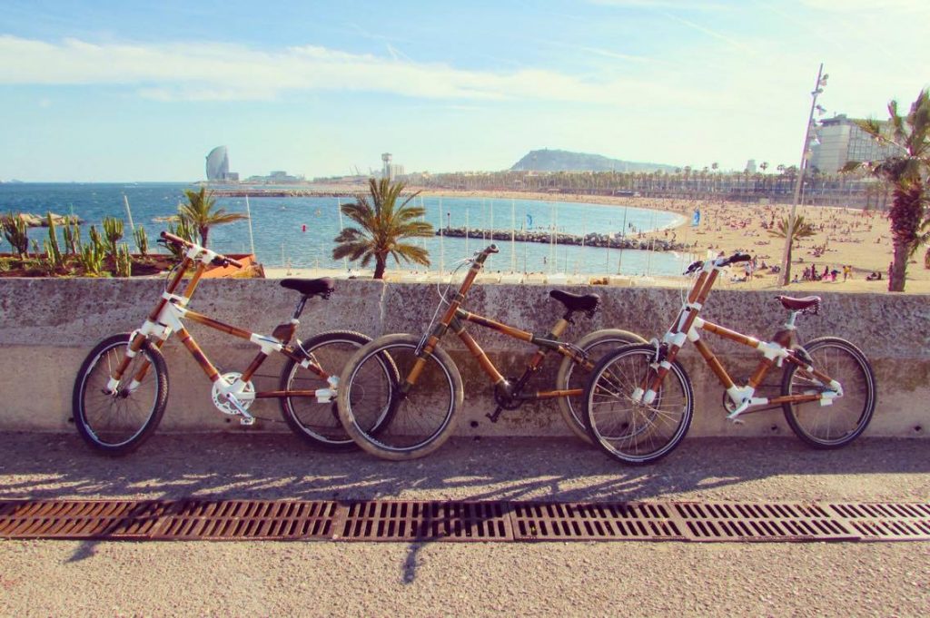 Our bamboo bike looking beach beautiful.