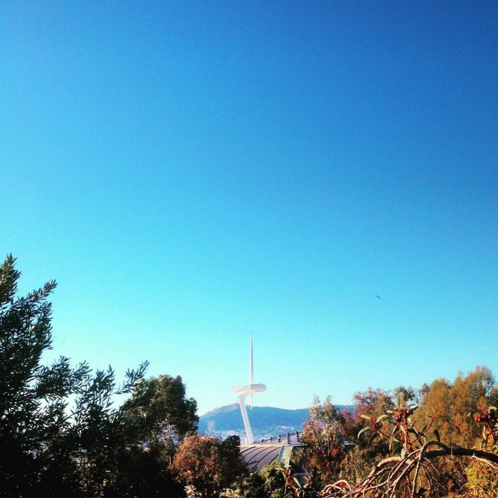 Views from the Botanical Gardens in Montjuic, Barcelona