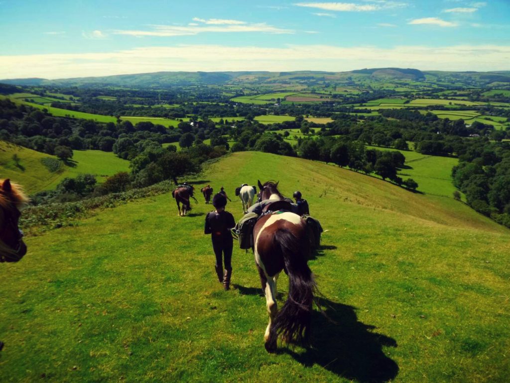 Guided horse riding lessons in Wales