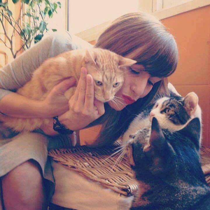 Kissing Cats in Barcelona - Ben Holbrook
