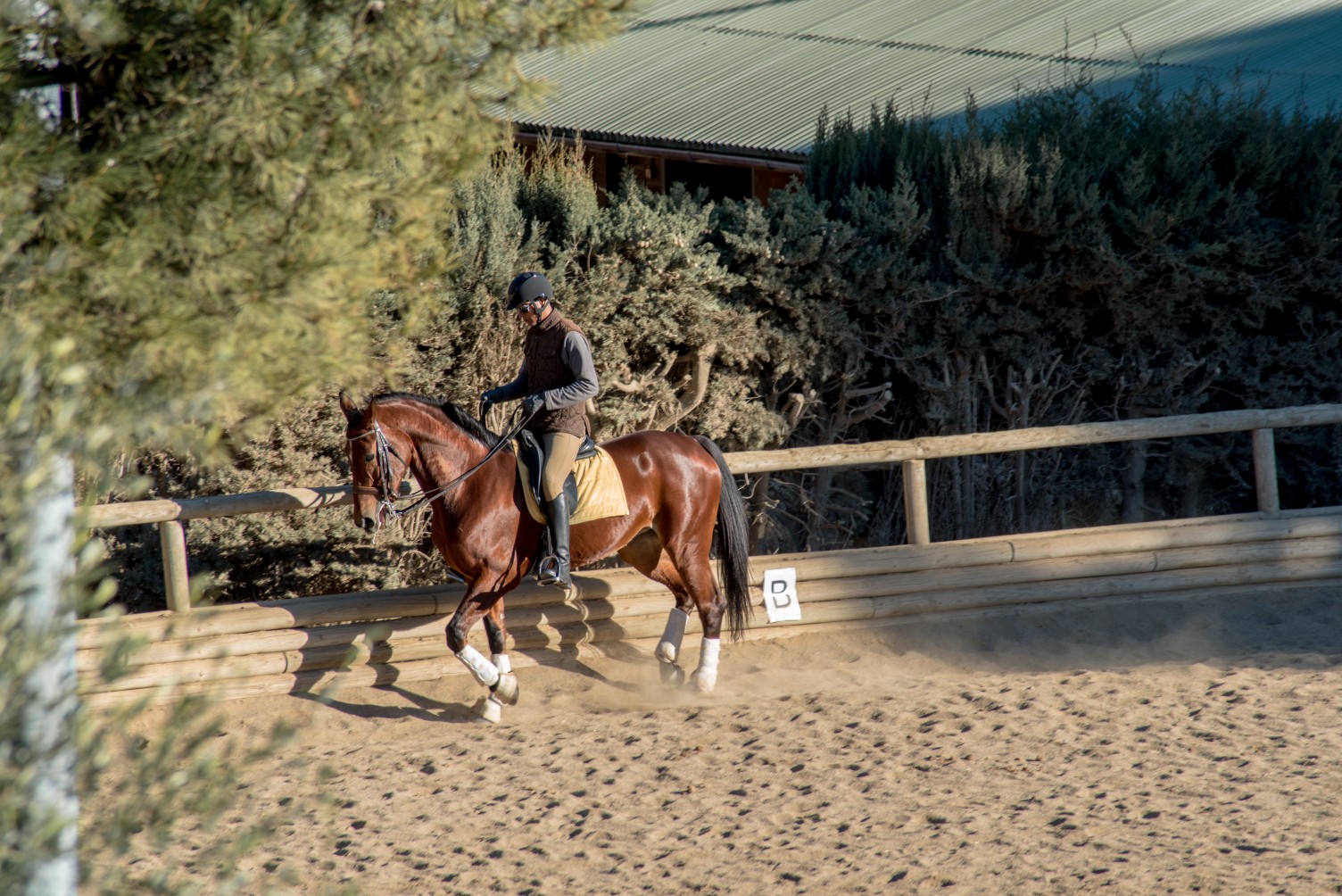 Horse riding in Montjuic Barcelona