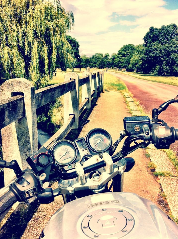 the vie over my handlebars on my motorcycle in richmond park, surrey, london, england