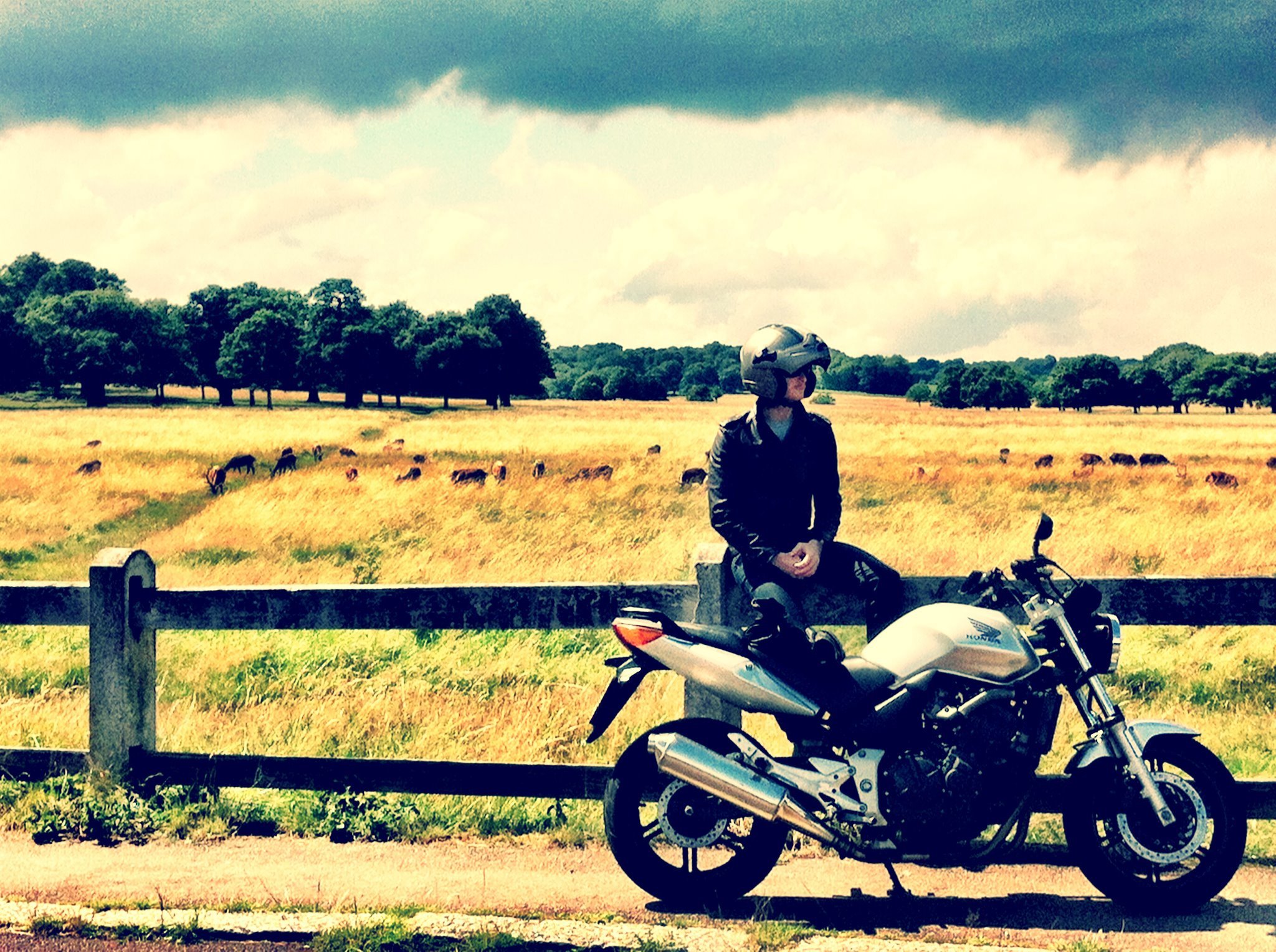 Riding my Honda motorcycle around RIchmond park in the summer. We stopped on to watch the deer. 