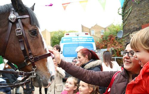 Kentish Town City Farm London