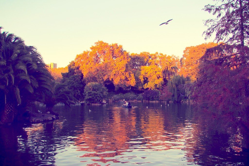 Rowing on the lake in Parc de la Ciutadella in Barcelona