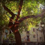 Sunbeems Blazing in Barcelona-s Born Barrio-opt