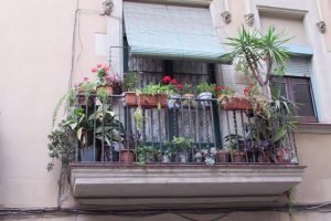 Leafy Balconies in the Born Barrio of Barcelona