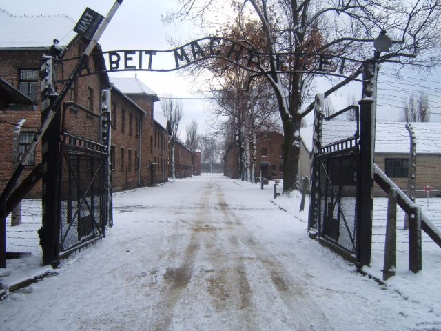 Auscwhitz Birkenau Tour