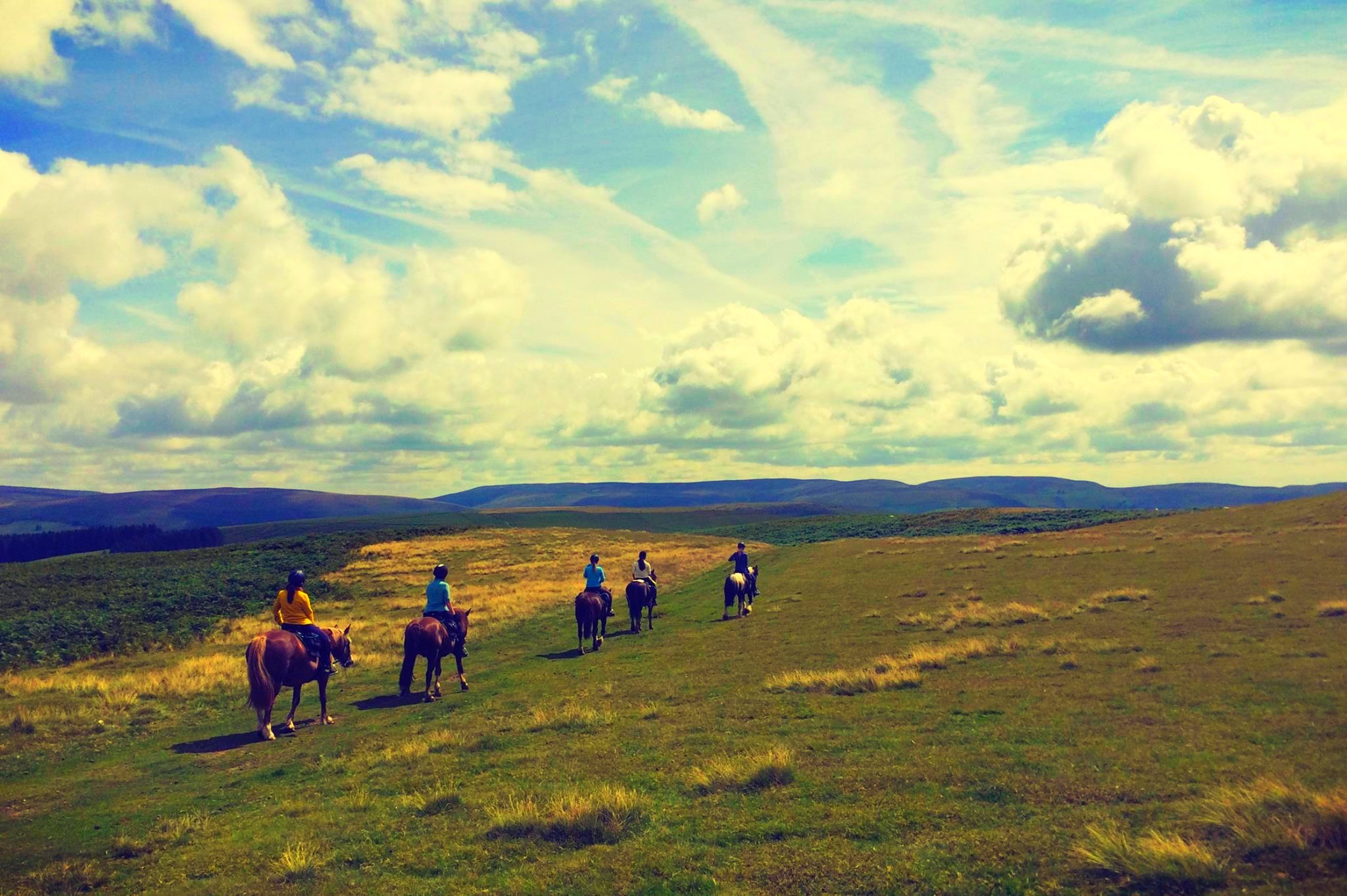 Horse Riding Holidays in Wales