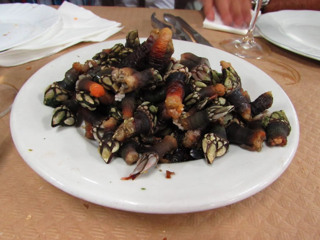 Percebes ~ "Goose-Neck Barnacles" in Asturias