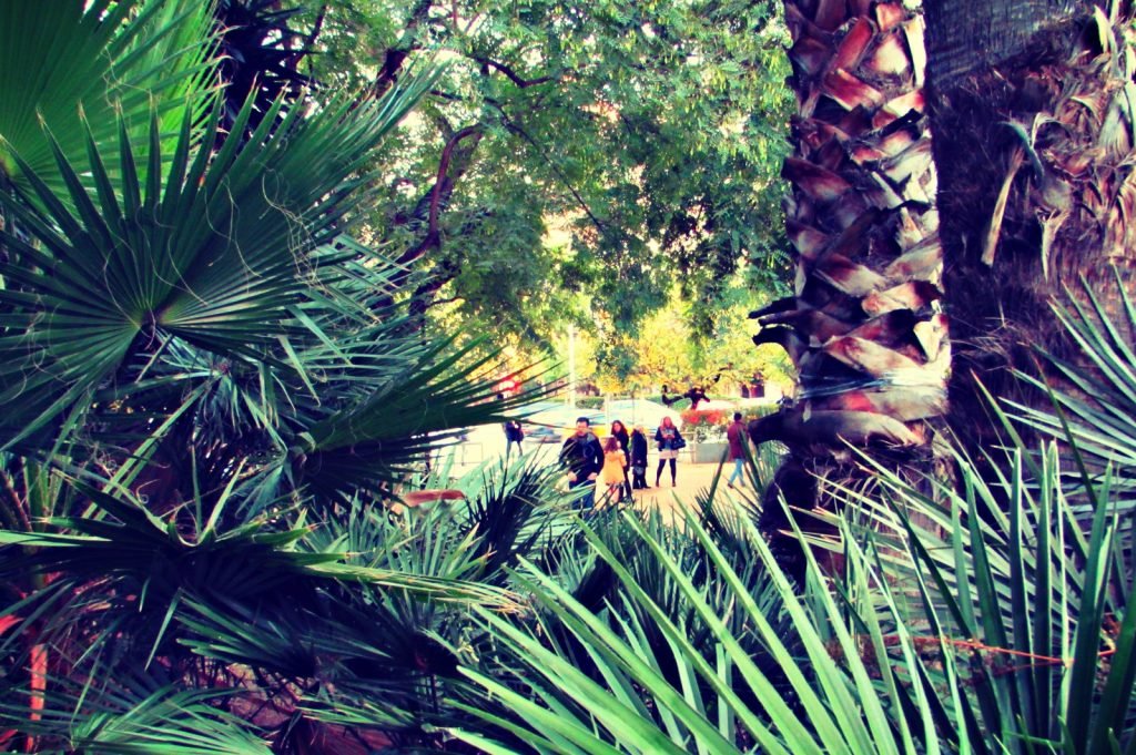 park-space-in-esquerra-de-leixample