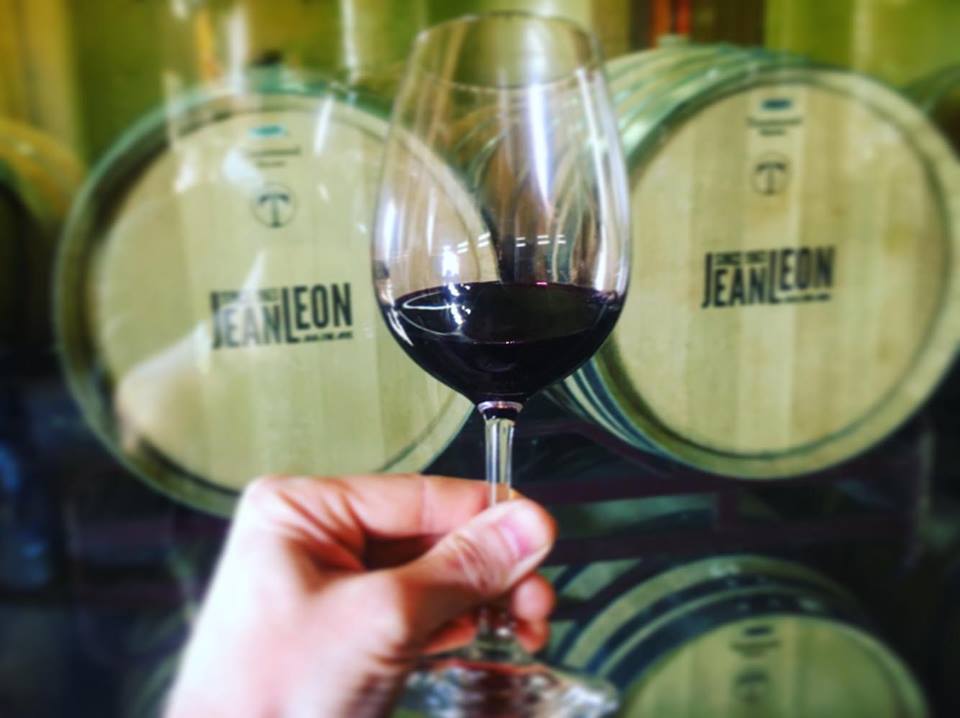 Jean Leon Winery Tour in Penedes, Barcelona