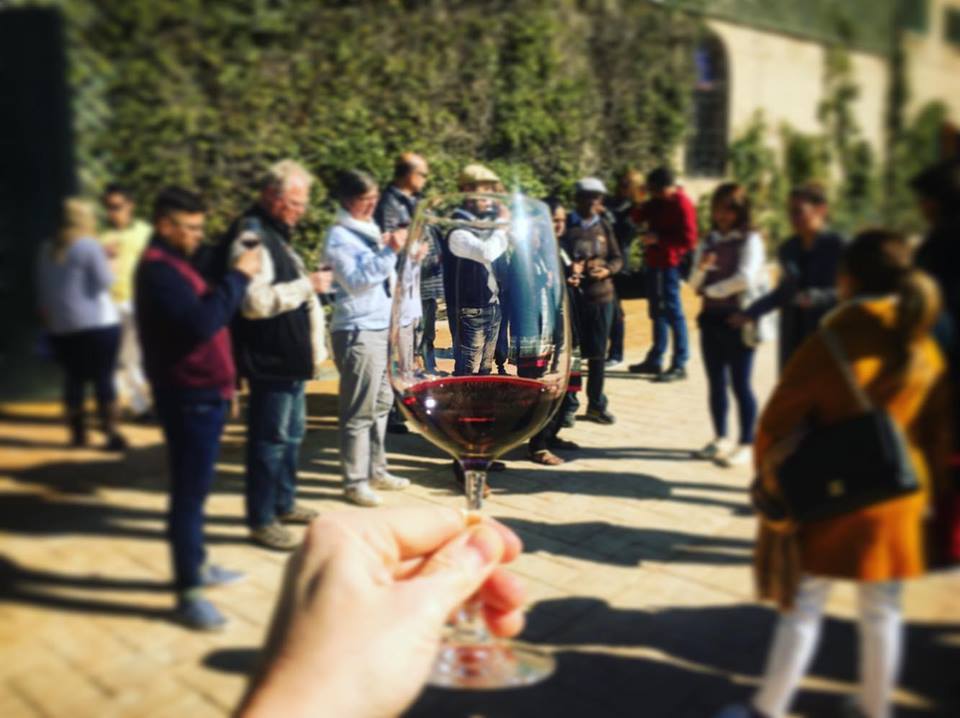 Jean Leon Wine Tasting in Penedes outside of Barcelona
