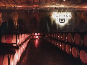 Torres wine cellars in Penedes outside of Barcelona