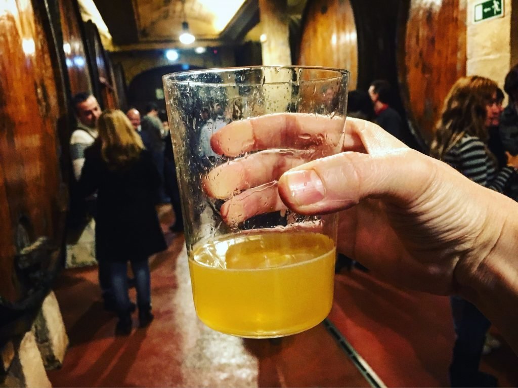 Cider at Petritegi sagardotegi
