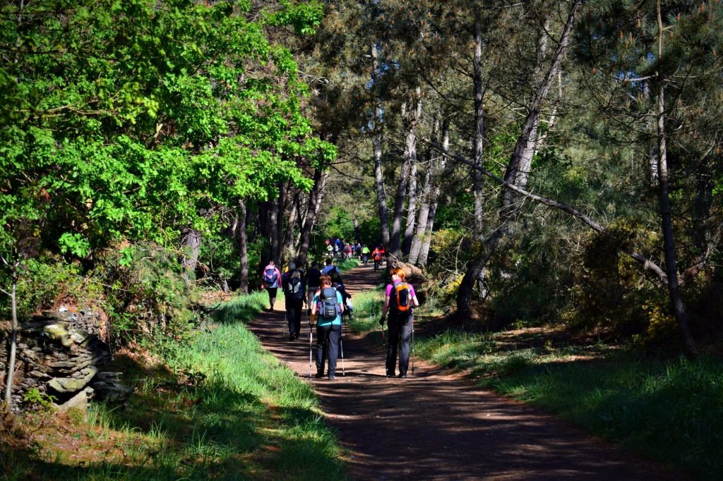 Groups of Hikers on The Camino