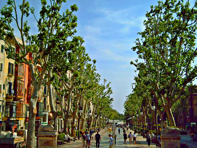 Passeig des Born Palma Mallorca