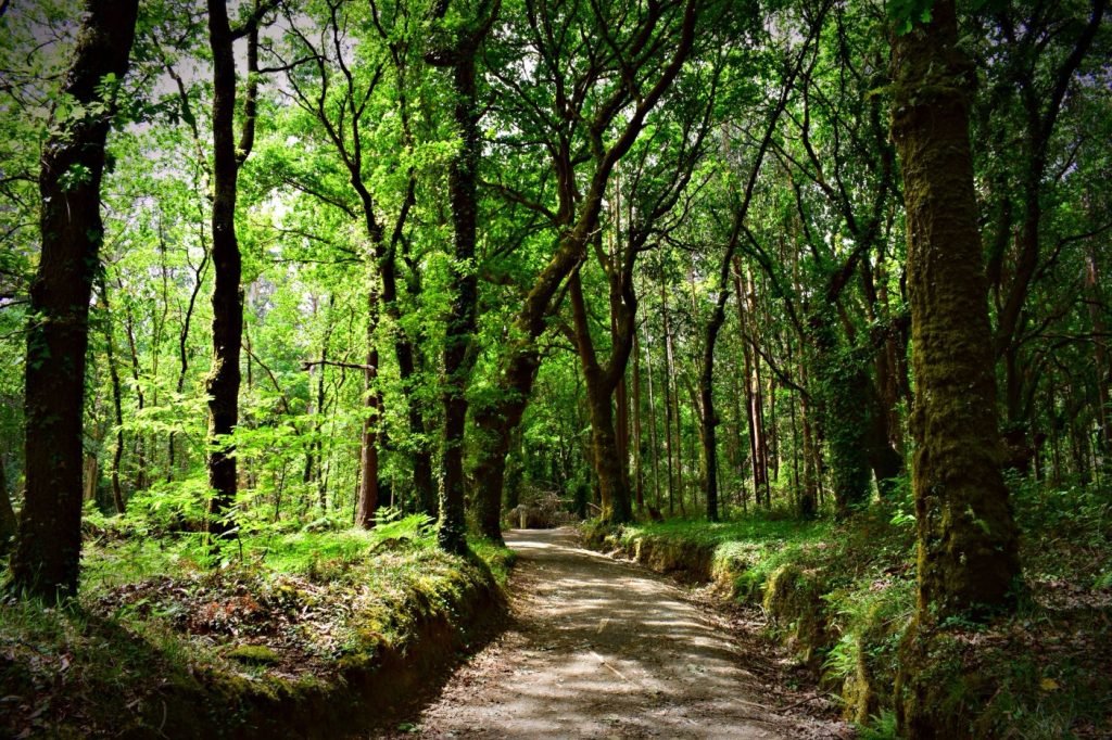 The Way of Saint James Hiking Trail in Galicia, Northern Spain