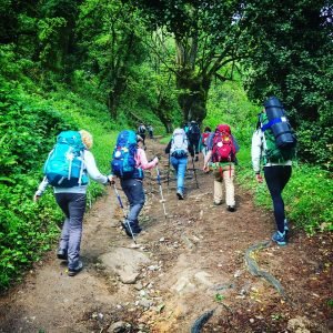 Women hiking the Camino de Santiago - Driftwood Journals Travel Blog
