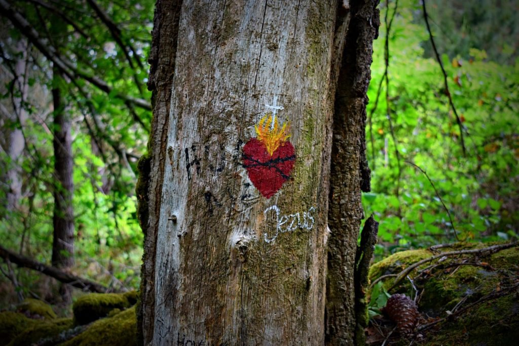 graffiti Tree in Camino de Santiago