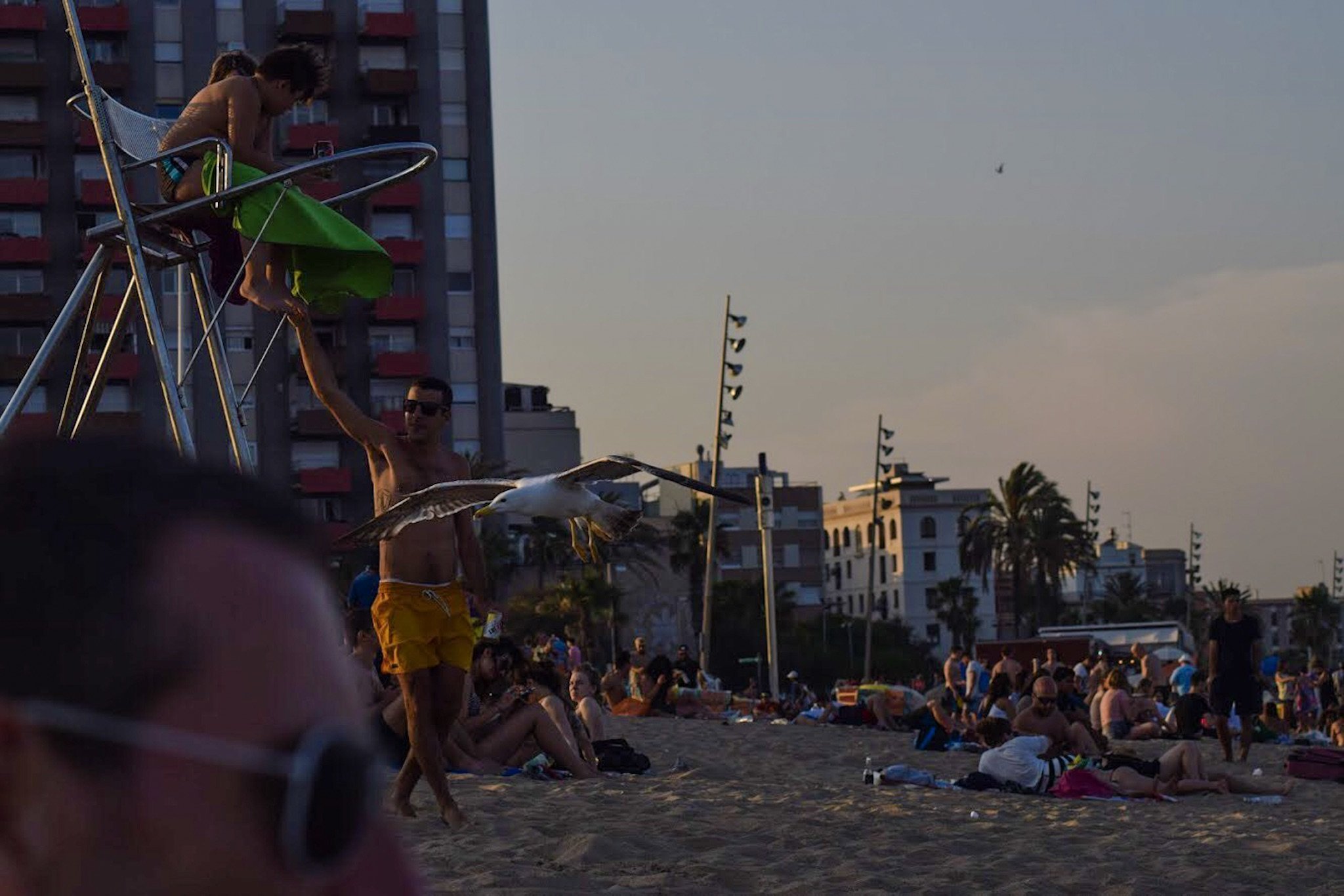 San Juan Festival, Barcelona ~ Explosions in the Sky (Photo Essay) by Ben Holbrook