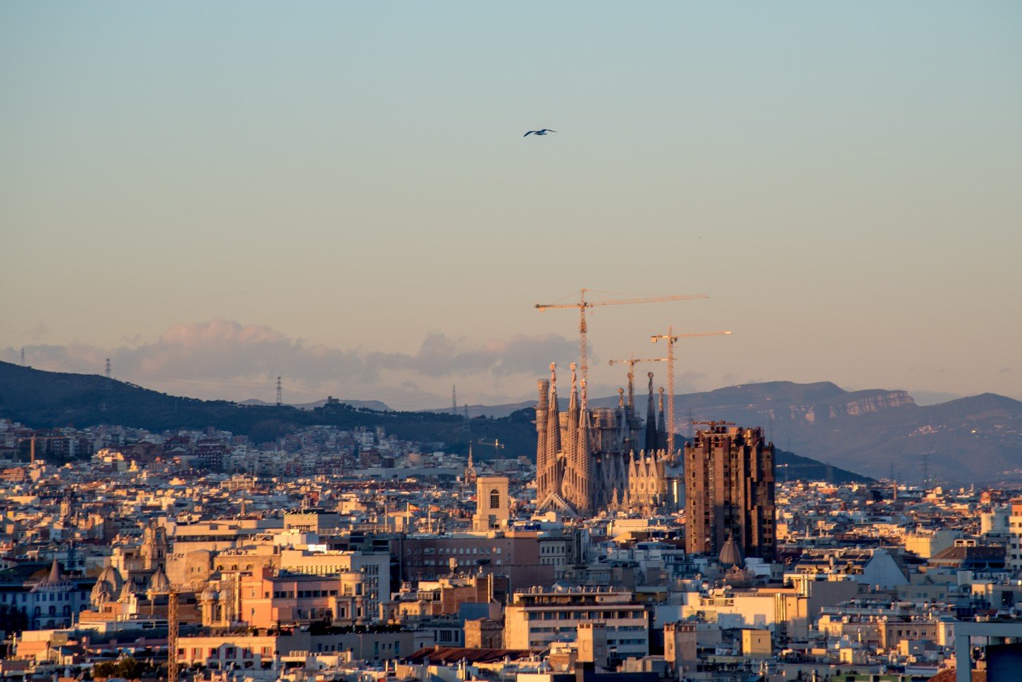 Views of La Sagrada Familia at sunset in Barcelona