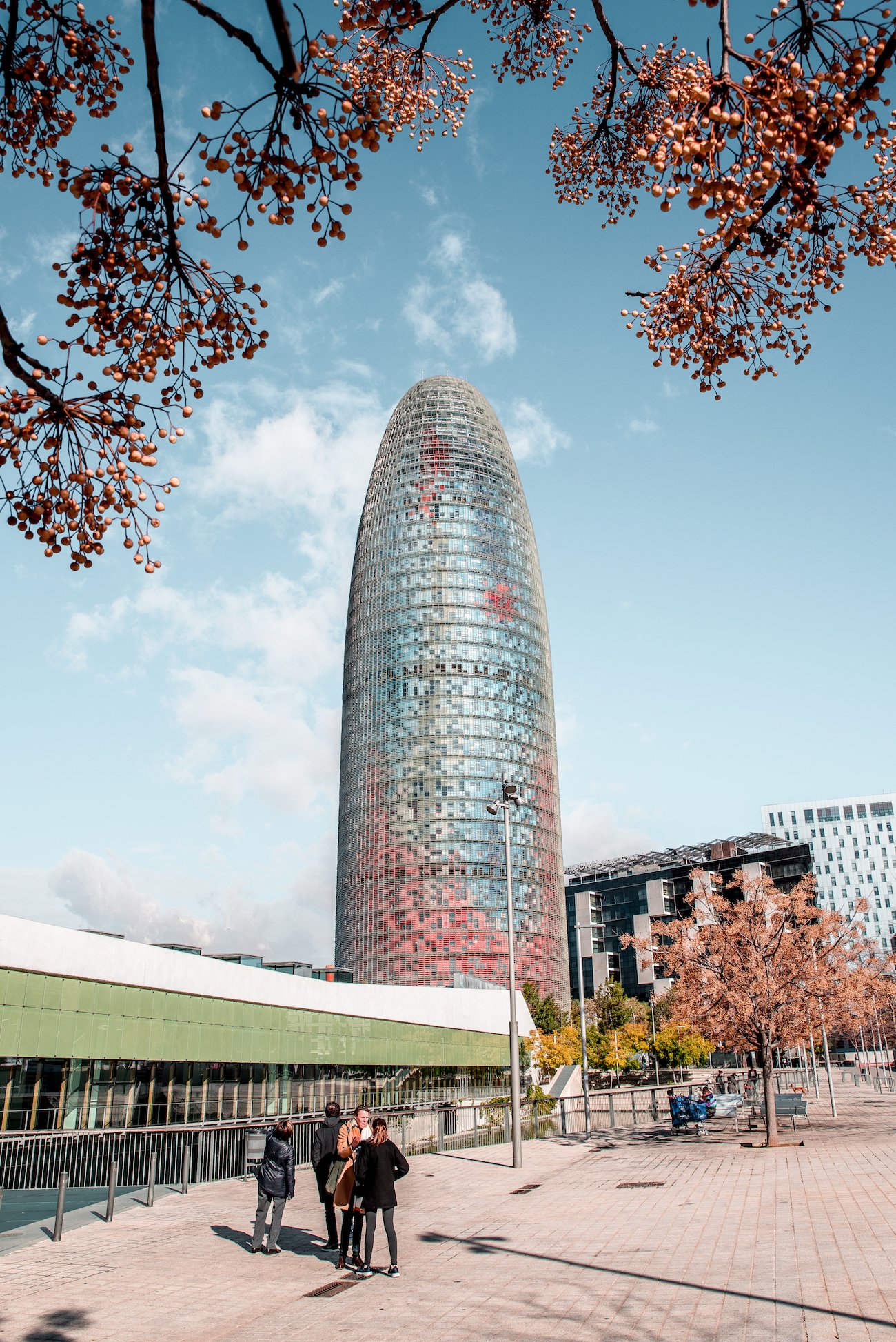 Torre Glòries Barcelona / Torre Agbar / by Ben Holbrook