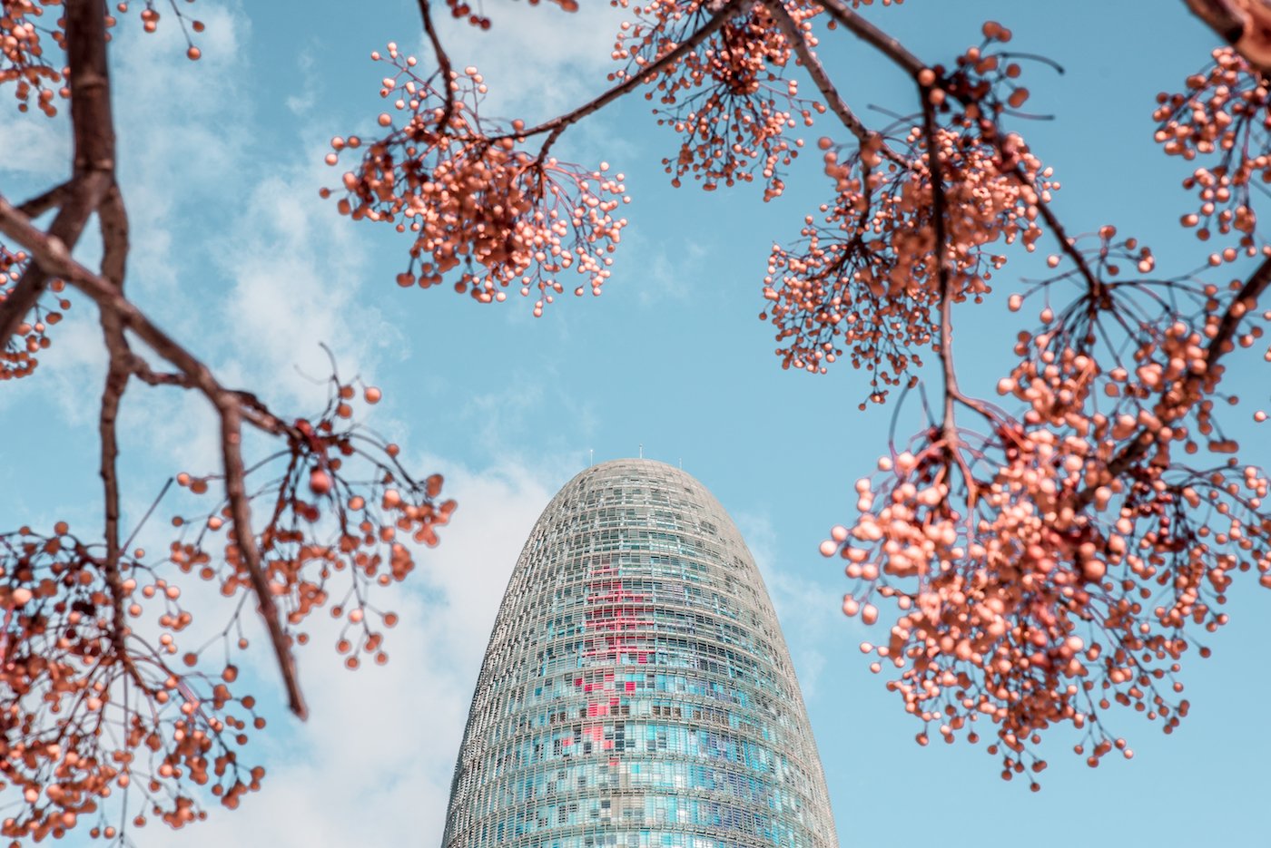 Torre Glòries Barcelona / Torre Agbar / by Ben Holbrook