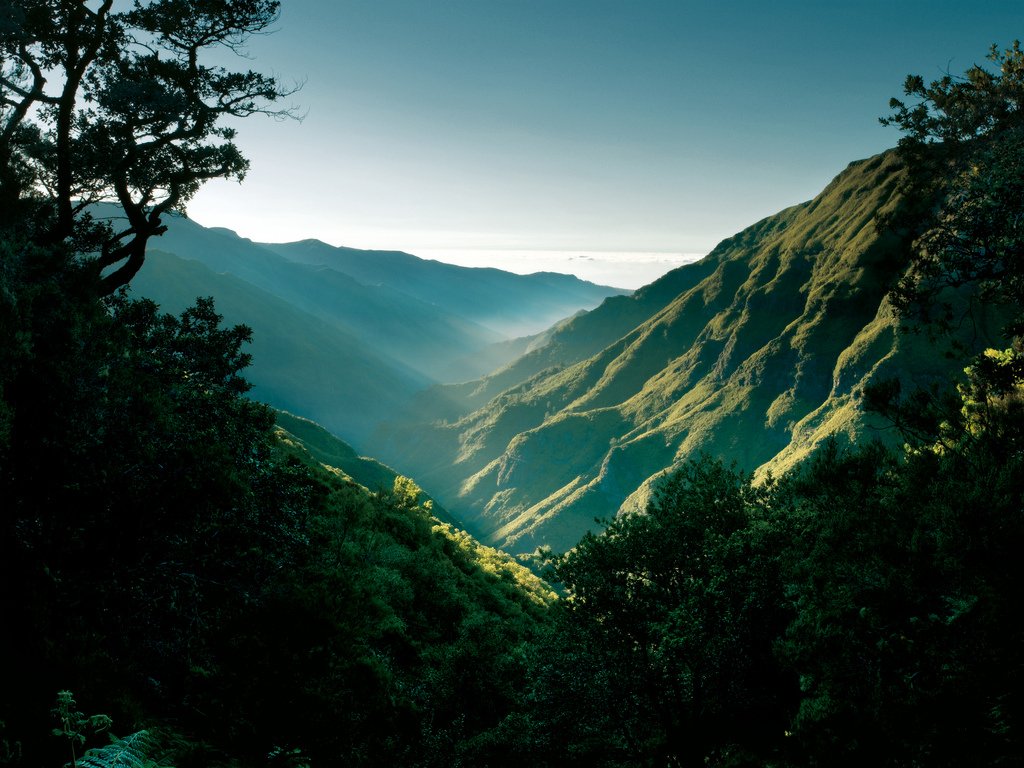 Madeira Island winter sun