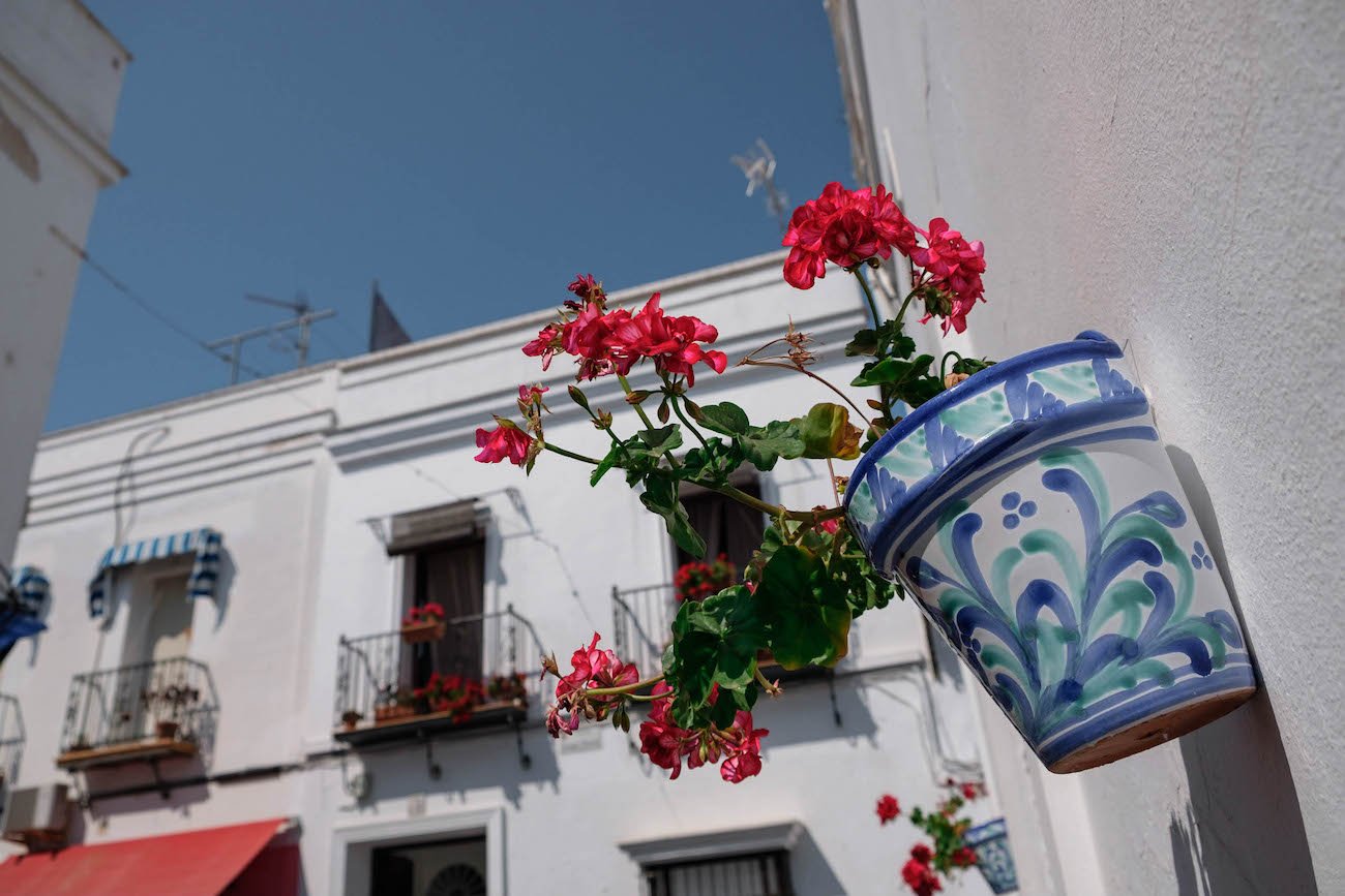 Chipiona old town flowers on the wall