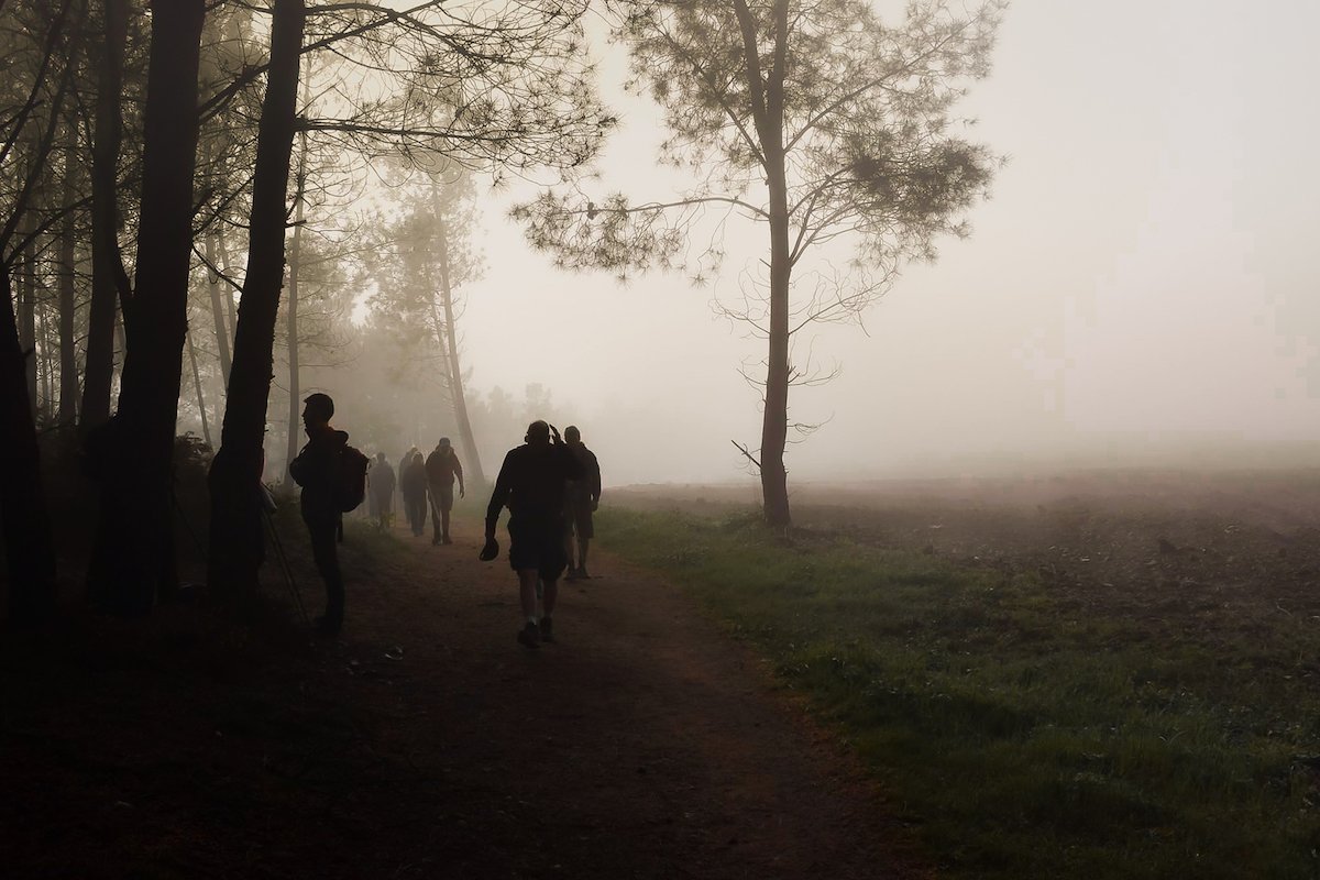 Early morning mist on the Camino de Santiago in northern Spain - by Ben Holbrook Early morning mist on the Camino de Santiago in northern Spain - by Ben Holbrook