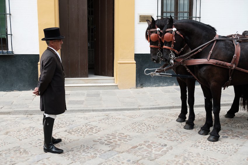 Things to do and see in Seville - by Ben Holbrook from DriftwoodJournals.com