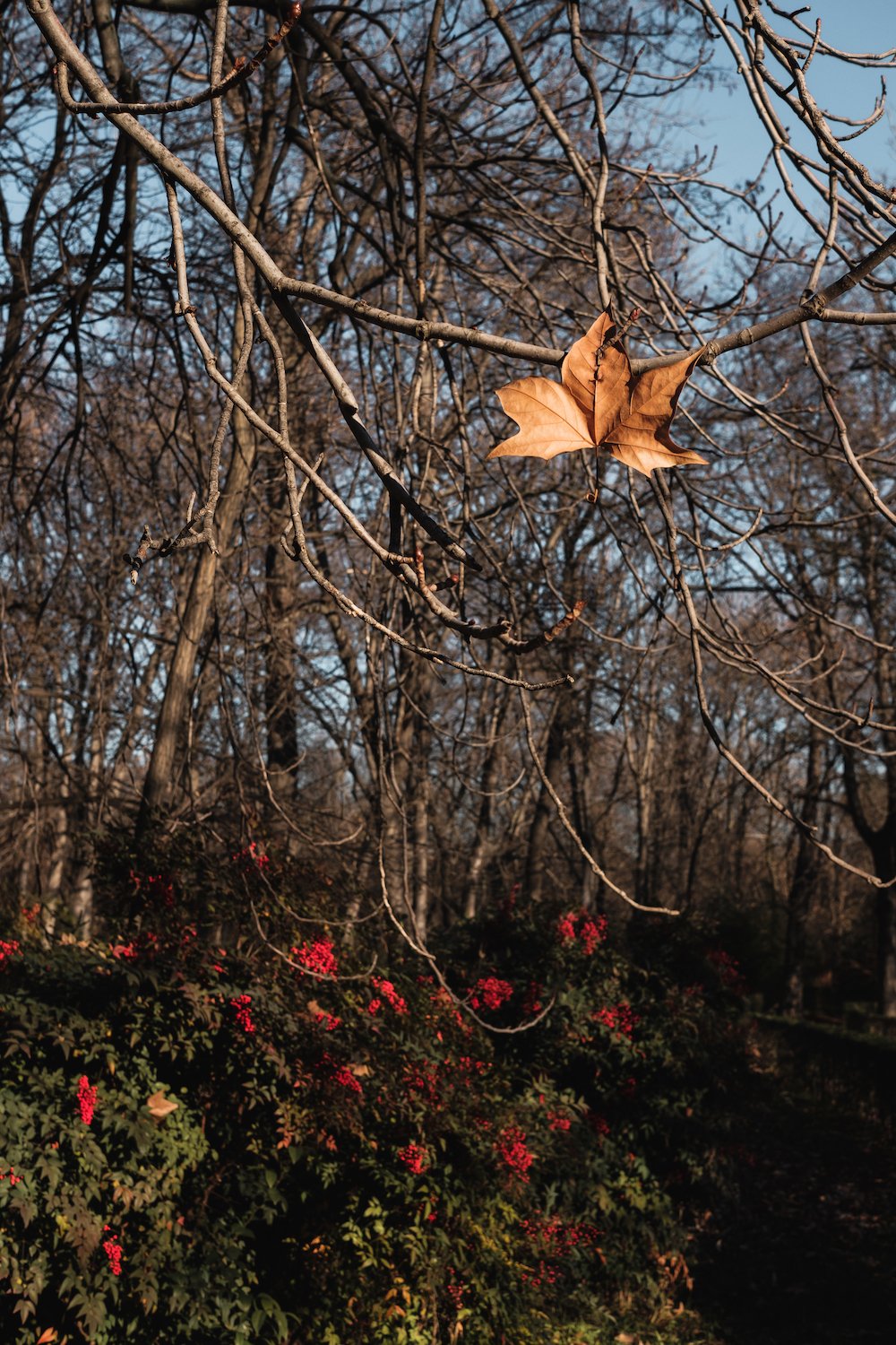El Retiro Park, Madrid Street Photography Essay - by Ben Holbrook DriftwoodJournals.com-9268