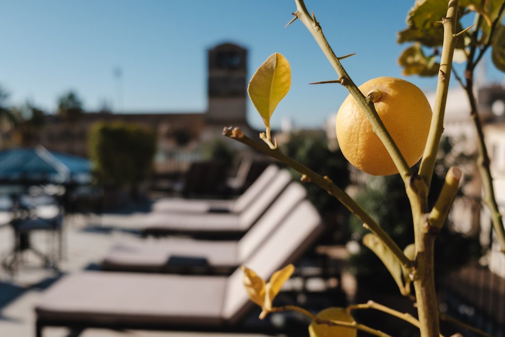 Gloria de Sant Jaume boutique hotel in Palma Mallorca Old Town - by Ben Holbrook from Driftwoodjournals.com