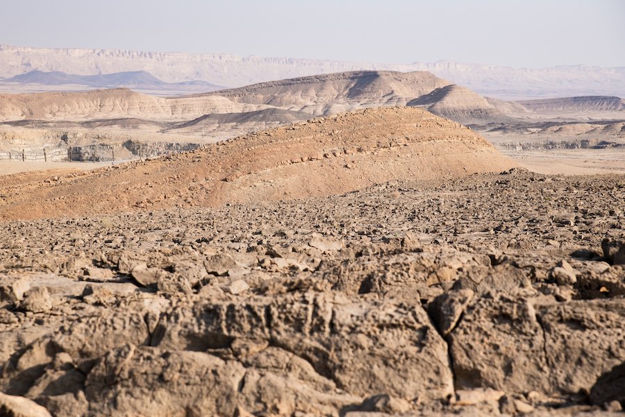 Negev Desert, Israel, 4X4 Jeep Tour with Adam Sela, Israel by Ben Holbrook from DriftwoodJournals.com-3806