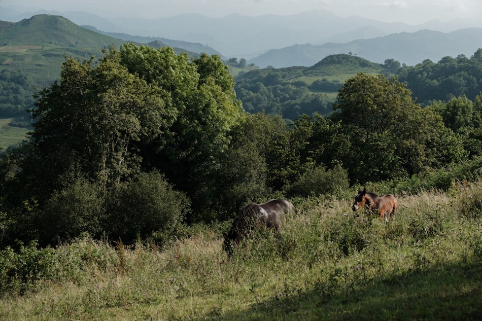 Hiking in Pilona, Asturias Travel Photography by Ben Holbrook from DriftwoodJournals.com-2856