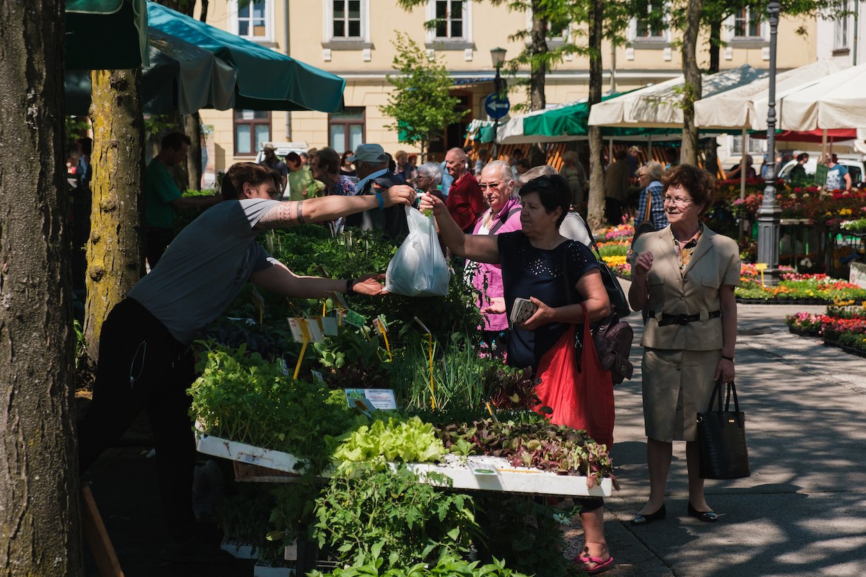 Ljubljana Central Market, Slovenia Travel Photography by Ben Holbrook from DriftwoodJournals.com-6700