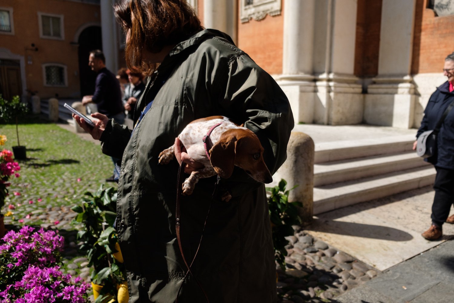 One Day in Modena - Travel and Street Photography by Ben Holbrook from DriftwoodJournals.com-5607
