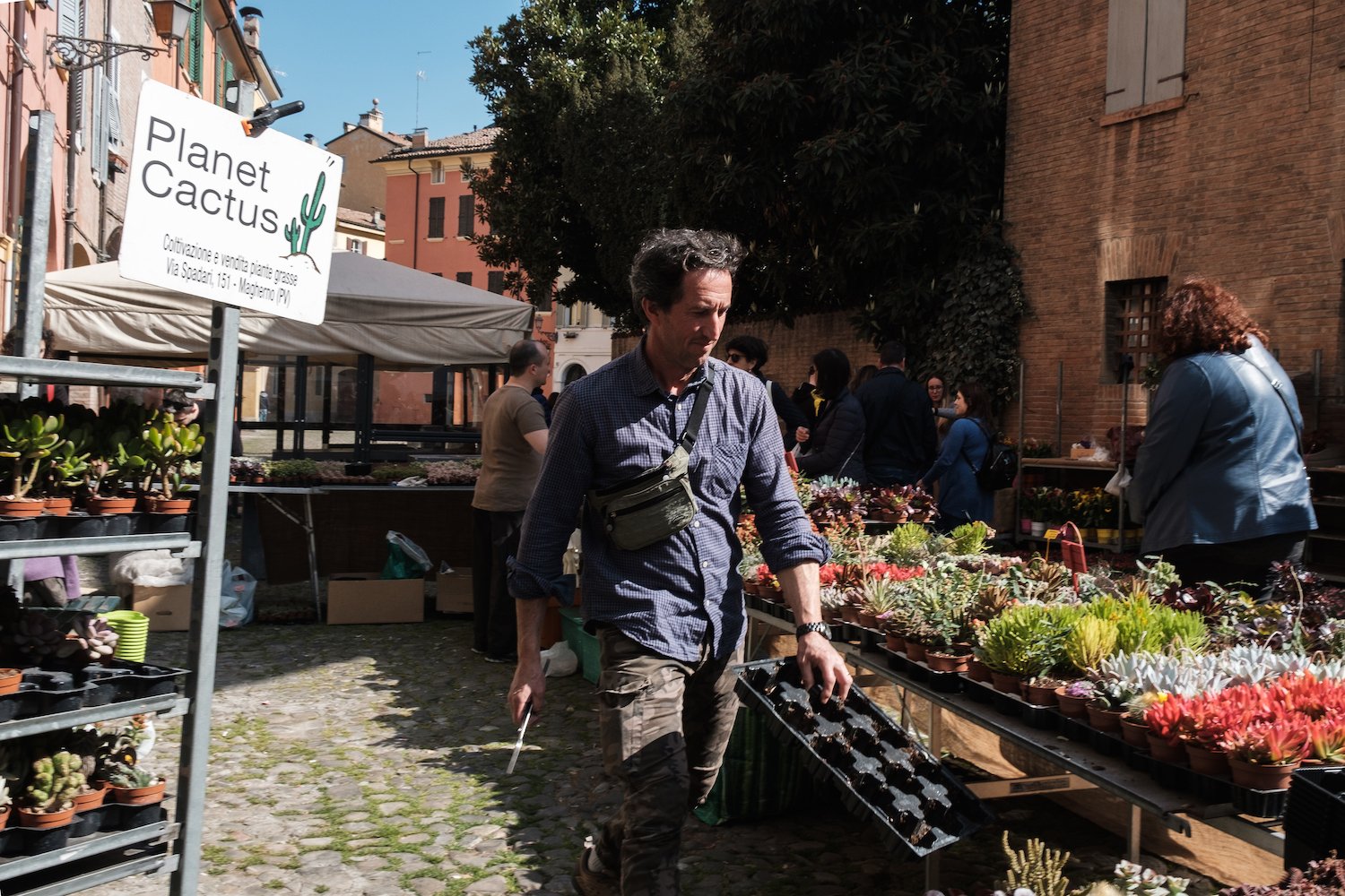 Flower market in Modena - Travel and Street Photography by Ben Holbrook from DriftwoodJournals.com-5493