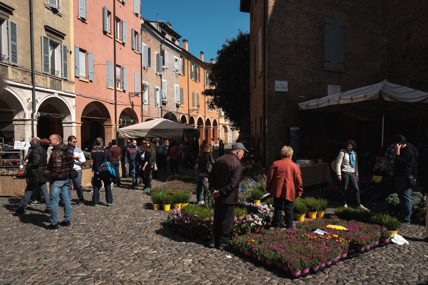Flower market in Modena - Travel and Street Photography by Ben Holbrook from DriftwoodJournals.com-5493