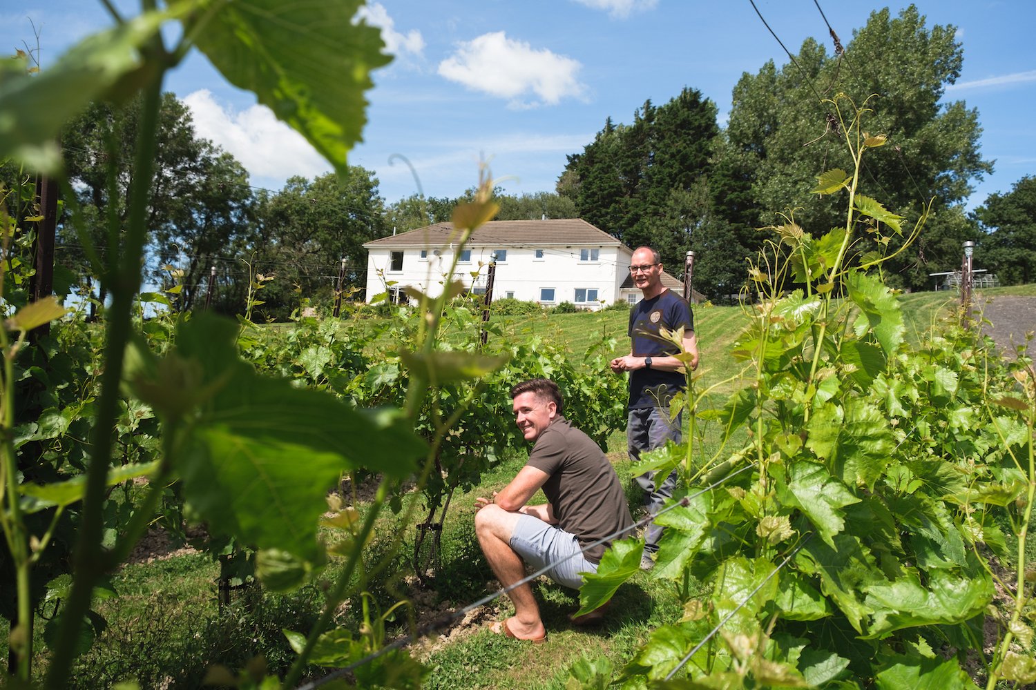 Velfrey Vineyard, Pembrokeshire, South Wales, UK - By Swansea-based photographer Ben Holbrook from DriftwoodJournals.com-57
