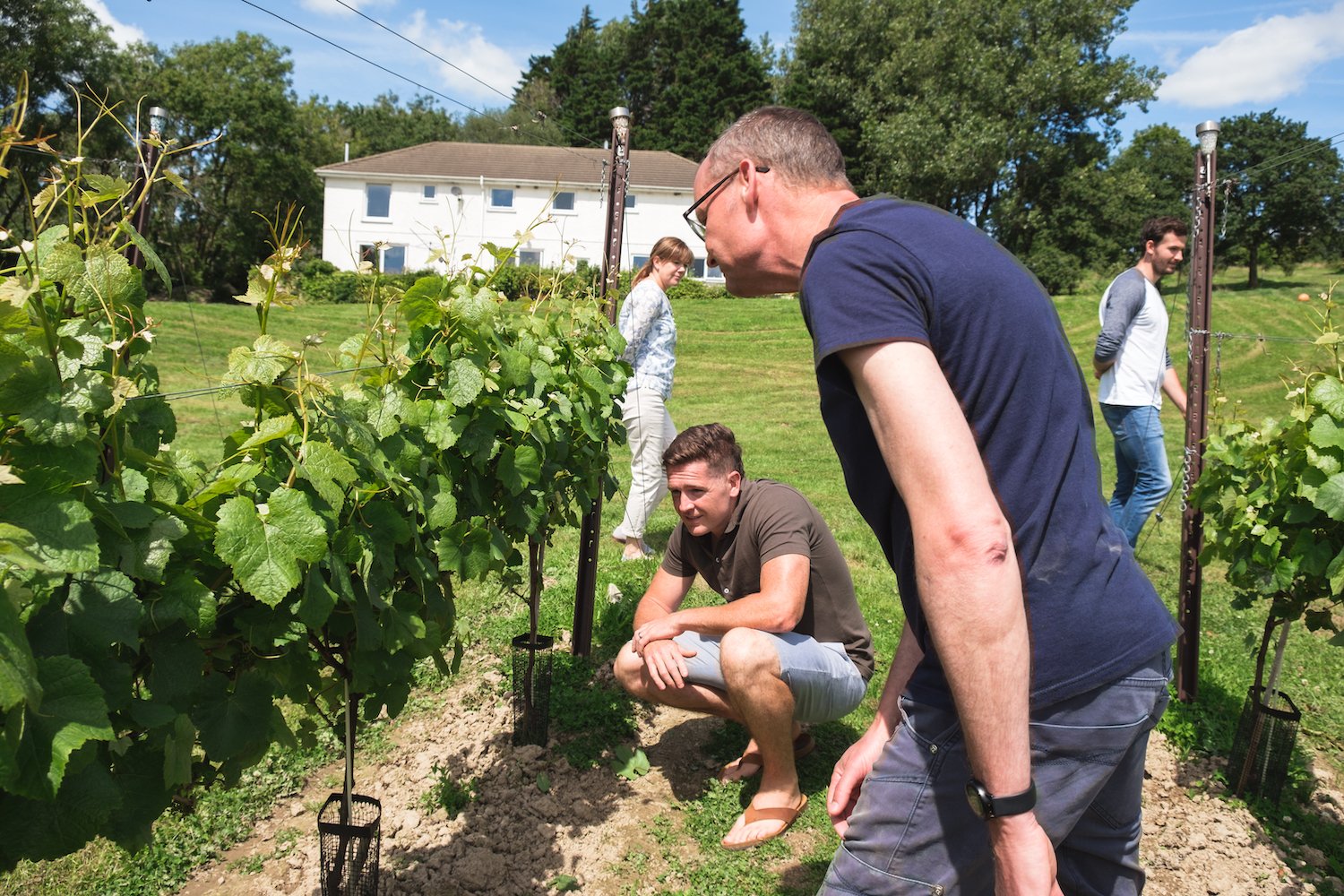 Velfrey Vineyard, Pembrokeshire, South Wales, UK - By Swansea-based photographer Ben Holbrook from DriftwoodJournals.com-57