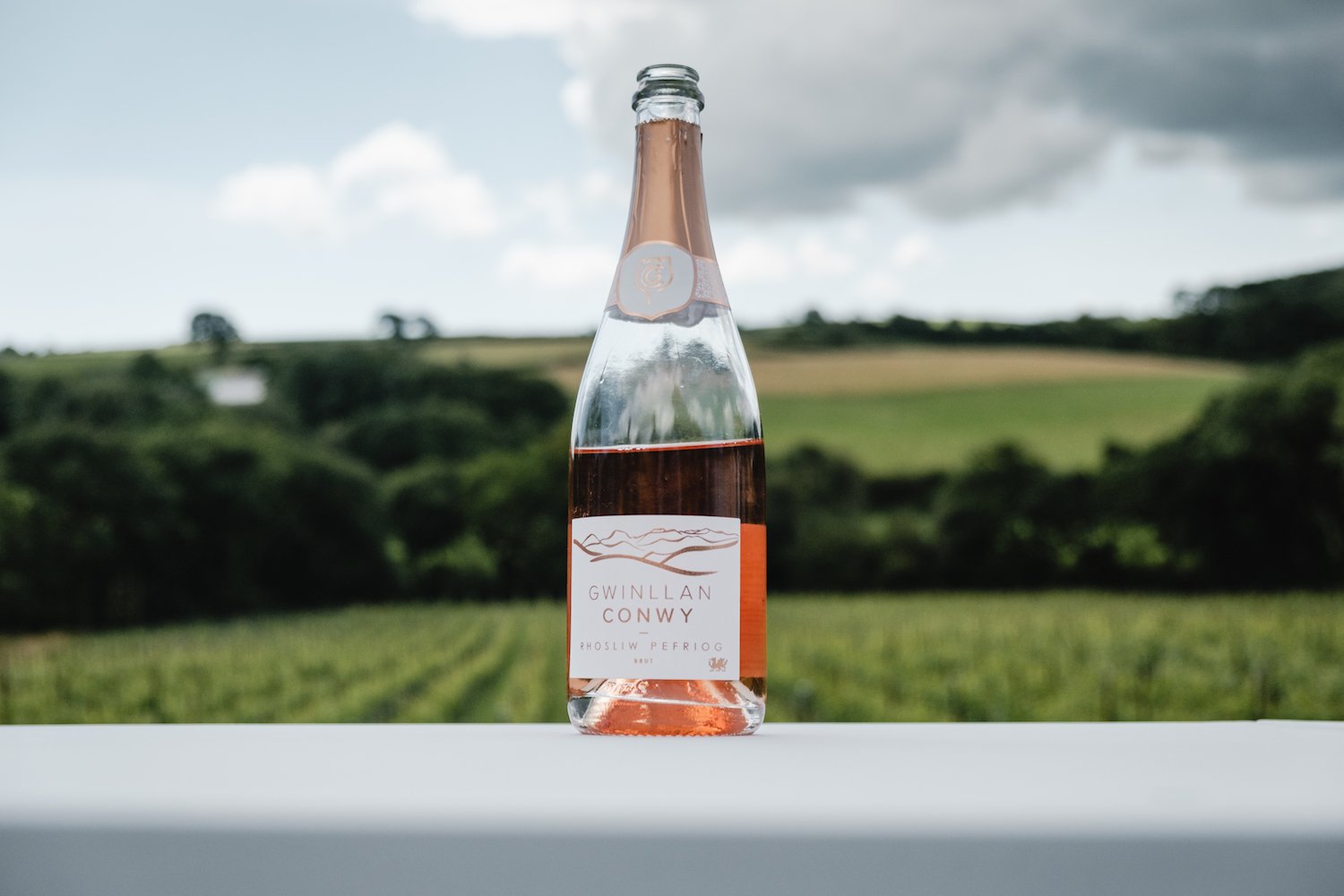 Rhosliw Pefriog Sparkling by Gwinllan Conwy Vineyard, 2018