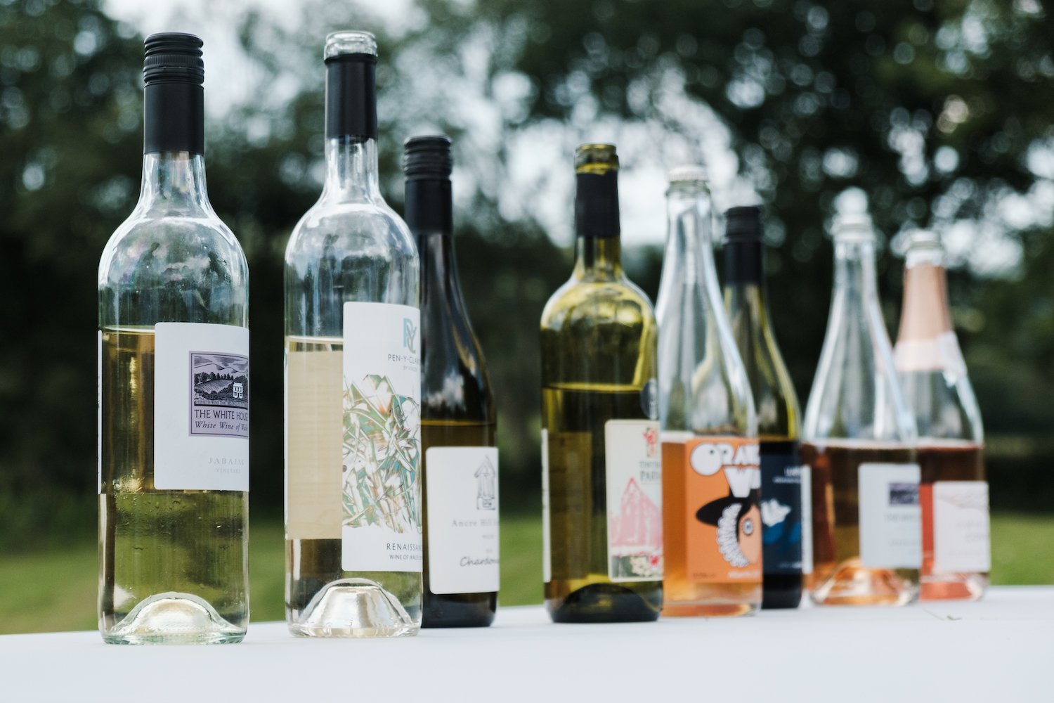 Welsh Wine Week - by Ben Holbrook-7