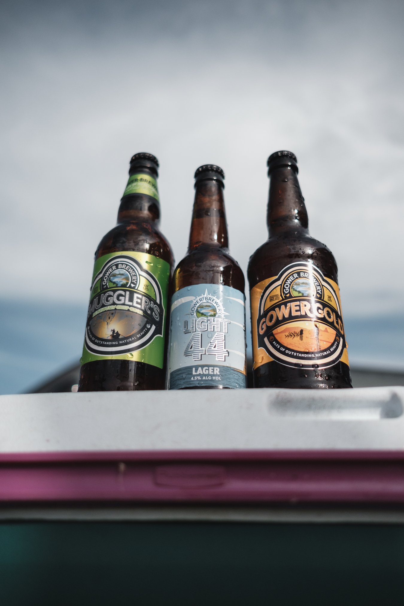 International Beer Day Celebrations / Gower Brewery Ales of Outstanding Natural Beauty - Llangennith Gower Peninsula Photography by Ben Holbrook from BenHolbrook.com-10