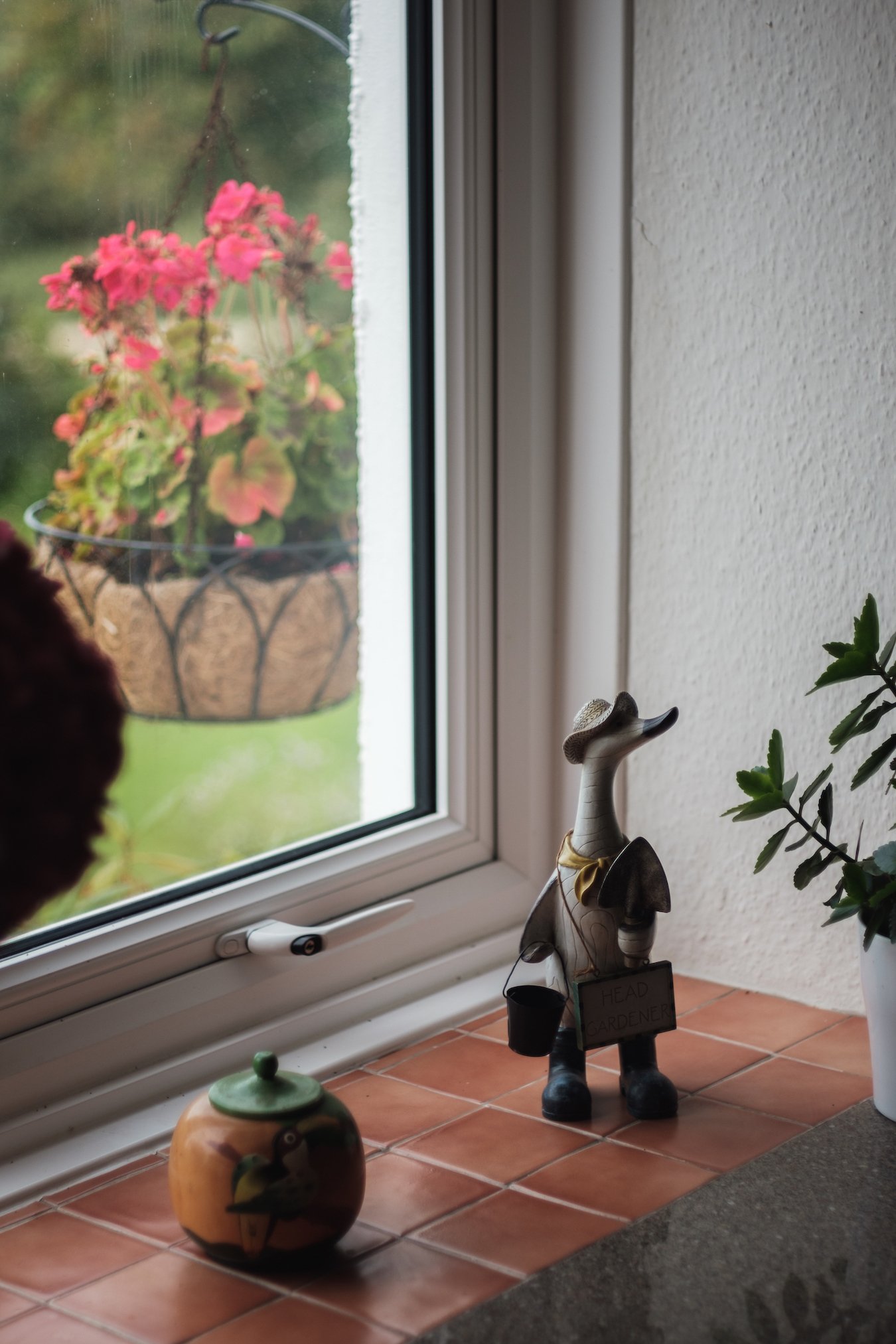 Vintage Canon FD 50mm f1.8 with Fujifilm XT3 - by Ben Holbrook from DriftwoodJournals.com11