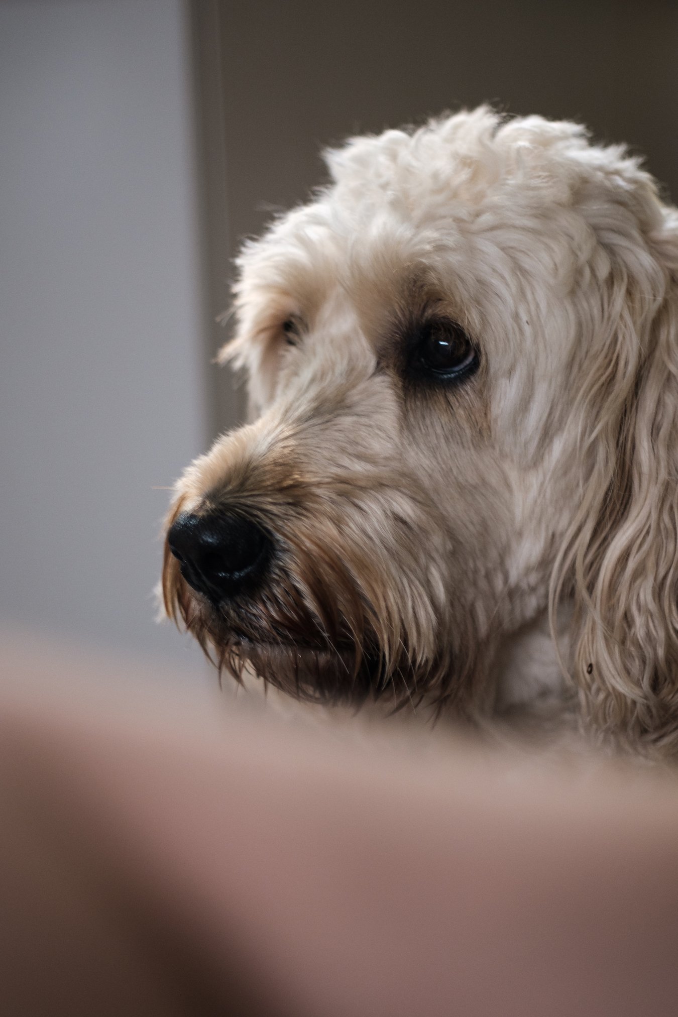 Vintage Canon FD 50mm f1.8 with Fujifilm XT3 - by Ben Holbrook from DriftwoodJournals.com44